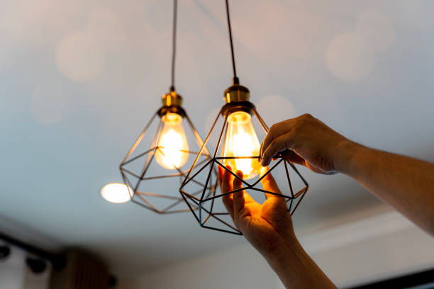 Best 24-Hour Electrician  in Clemson University, SC