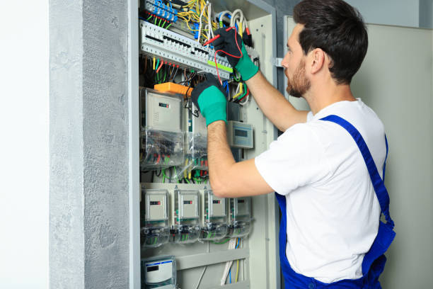 Best Electrical System Inspection  in Clemson University, SC