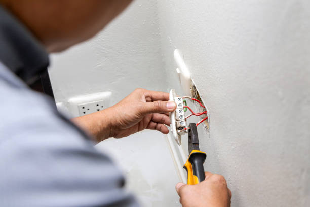 Best Local Electrician Companies  in Clemson University, SC