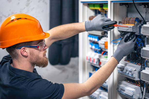 Best Electric Panel Repair  in Clemson University, SC